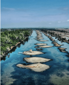 Capture d’écran 2024-06-07 à 09.05.11