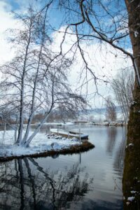 pexels-sabinakallari-20135087